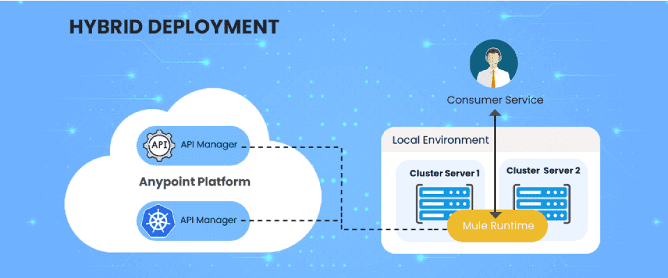 Mule Domain Project And Hybrid Deployment