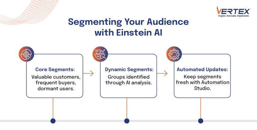 Vertex infographic on audience segmentation using Einstein AI: core segments, dynamic groups, and automation.